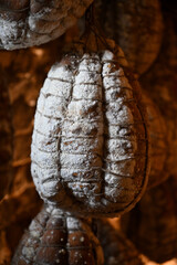 Culatello di zibello ham refining cellars in the  province of Parma near the Po river