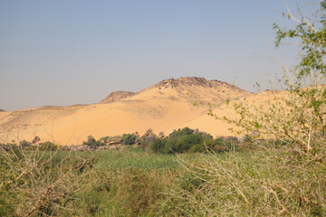 beautiful nature landscape on the river Nile in Aswan, Egypt