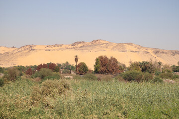 beautiful nature landscape on the river Nile in Aswan, Egypt