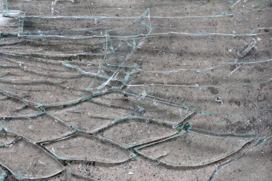Broken Glass Shards Texture on Concrete Surface