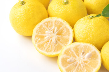 白い背景にたくさんの柚子