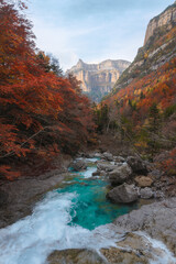 Aguas cristalinas del Río Arazas a través del bosque en el Valle de Ordesa en otoño. Huesca, Pirineos.