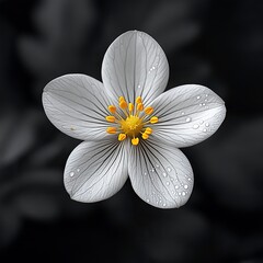 flower,generative ai