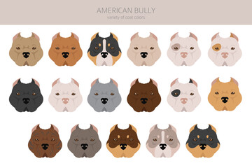 American bully all colours clipart. Different coat colors set.  Vector illustration