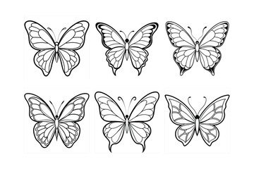 Butterfly design, labeled line art vector illustration. 