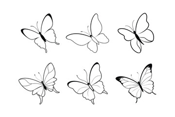 Butterfly design, labeled line art vector illustration. 