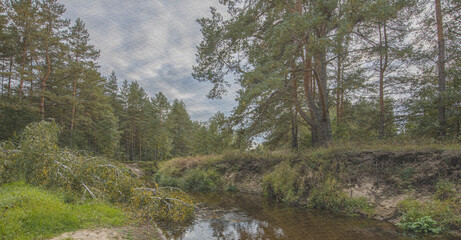 River with trees on either side