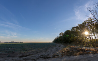 Field with a bright sun shining on it