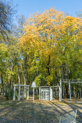 A park with a large tree in the middle and a bench in the background
