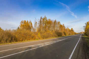 Fototapeta premium A road with a few trees on the side and a clear blue sky