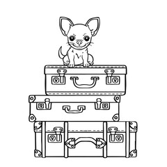 Chihuahua cute dog sitting on suitcases ready to move coloring page line, hand drawn vector illustration