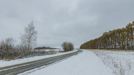 A snowy road with a tree in the middle