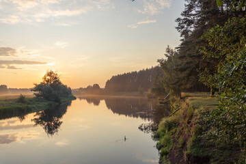 Calm river with a tree in the foreground