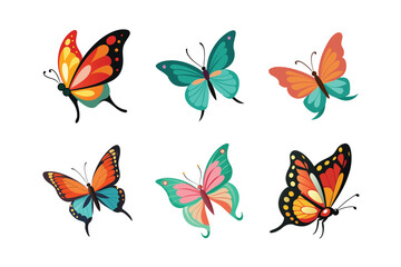 Butterfly design, labeled colorful vector art illustration. 