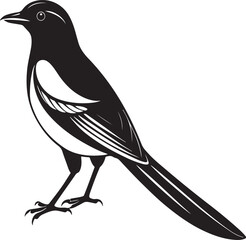 Fototapeta premium cuban trogon bird vector illustration
