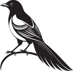 Fototapeta premium cuban trogon bird vector illustration