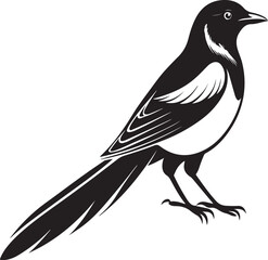 Fototapeta premium cuban trogon bird vector illustration