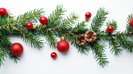 christmas tree branches isolated on white