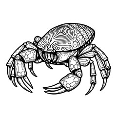 Fototapeta premium Ornate Crab Line Art: A Detailed Illustration