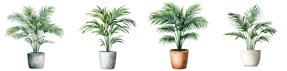 Elegant Areca Palm Plants in Different Decorative Pots for Indoor Spaces