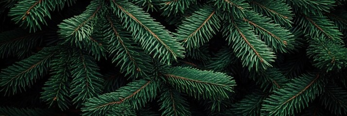 Lush Green Pine Needles Close-Up Showing Vibrant Texture and Natural Beauty on Dark Background for Nature and Plant Enthusiasts