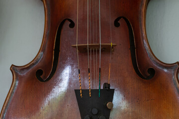 Violin with resonant strings