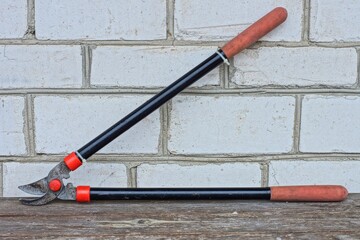 one industrial old garden iron open long black handle mechanical rusty sharp pruner lies on table...