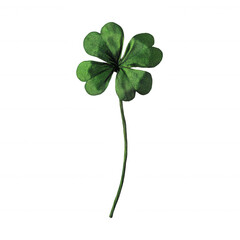 Beautiful four-leaf clover symbolizing luck and good fortune., isolated on a transparent background.