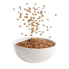 Brown lentils pouring from above into a white bowl, showcasing healthy ingredients., isolated on a transparent background.