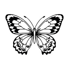 Black and white butterfly silhouette vector on isolated