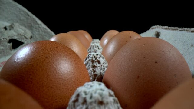 Series of pictures showing eggs in different stages of development