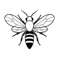 vector of bee design, labeled line art silhouette illustration.
