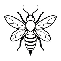 vector of bee design, labeled line art silhouette illustration.