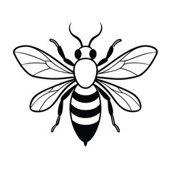 vector of bee design, labeled line art silhouette illustration.