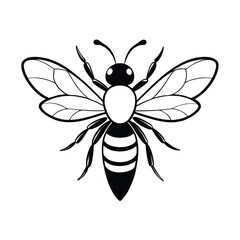 vector of bee design, labeled line art silhouette illustration.