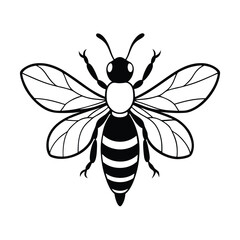 vector of bee design, labeled line art silhouette illustration.