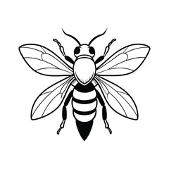 vector of bee design, labeled line art silhouette illustration.