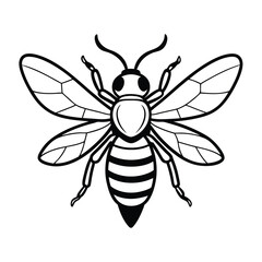 vector of bee design, labeled line art silhouette illustration.