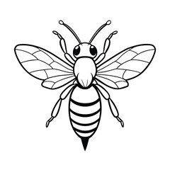 vector of bee design, labeled line art silhouette illustration.