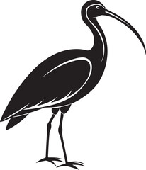 Obraz premium giant ibis bird vector illustration