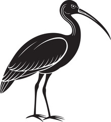 Obraz premium giant ibis bird vector illustration