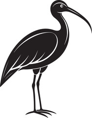 Obraz premium giant ibis bird vector illustration