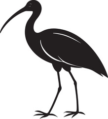 Obraz premium giant ibis bird vector illustration