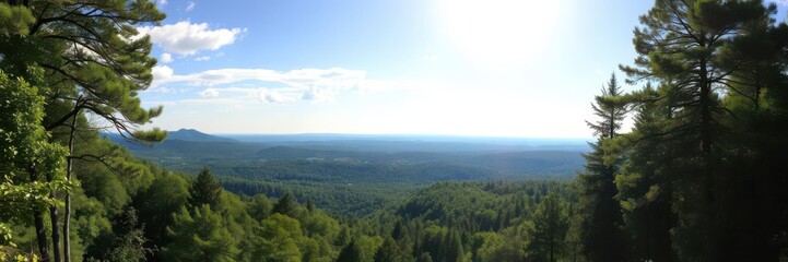 Obraz premium A breathtaking panoramic view of a lush forest under a brilliant sunny sky, horizon, secluded