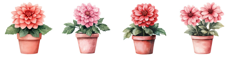 Fototapeta premium Vibrant Watercolor Dahlia Blooms in Rustic Terracotta Pots