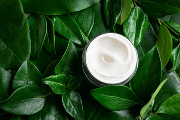 Jar of face or body cream on green plant leaves