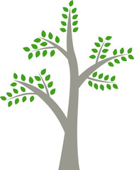 Obraz premium Flat trees set, pines, spruces, conifers and deciduous trees. Forest green tree nature plant isolated illustration