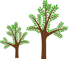 Flat trees set, pines, spruces, conifers and deciduous trees. Forest green tree nature plant isolated illustration