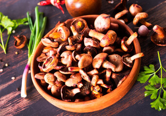 edible mushroom in bowl on a table