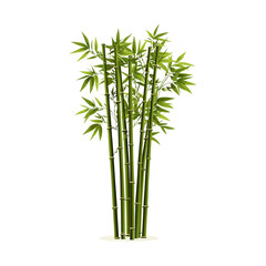 Obraz premium Bamboo Stalk Vector Illustration for Asian Inspired Designs